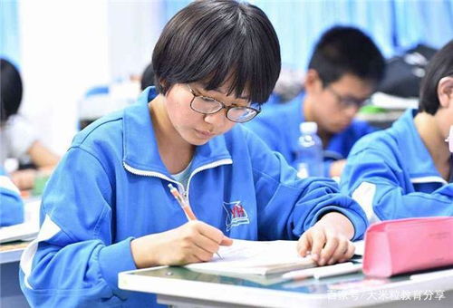 编程课是什么,给初一学生报编程课会影响学校学习吗