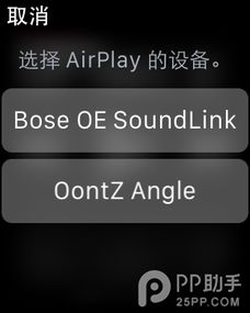 apple watch可以独立连接蓝牙耳机吗