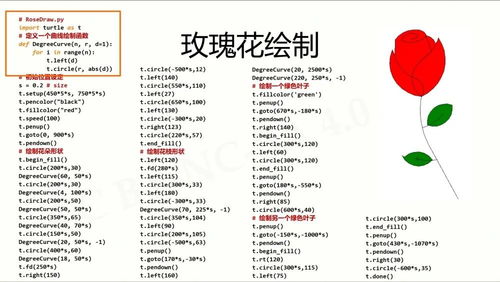 国贸专业的为什么要学Python