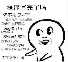 最让程序员崩溃的40个瞬间学生必看