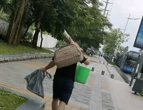 程序员是年轻人的职业,对此现象你怎么看