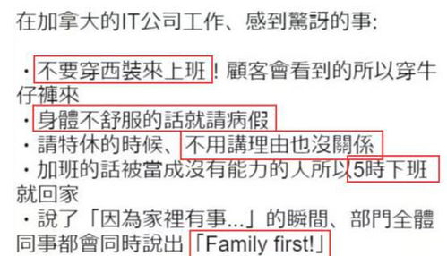 澳洲程序员真实待遇