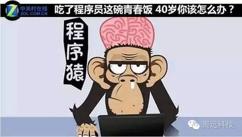程序员是青春饭 40岁后怎么办