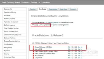 ORACLE现在最高版本是多少
