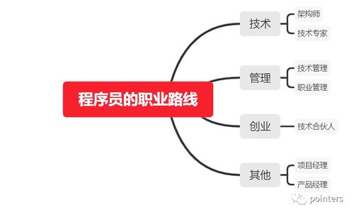 什么是程序员程序员的职能是什么