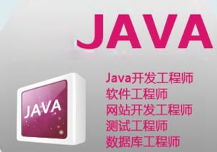 电脑里的JAVA到底是什么软件 干什么用的