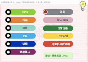 java后端开发的外包公司有哪些