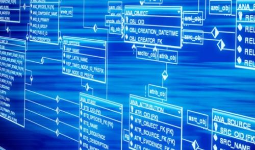 如何在epidata 中建数据库