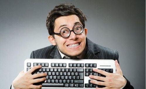 java程序员是干嘛的