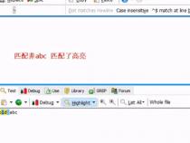 JavaScript正则表达式中 ： 是什么意思