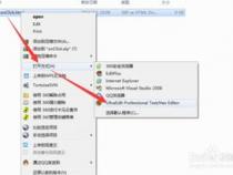 我的button按钮的onclick事件调用JS里的方法怎么不触发