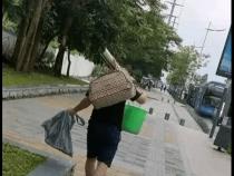 程序员是年轻人的职业,对此现象你怎么看