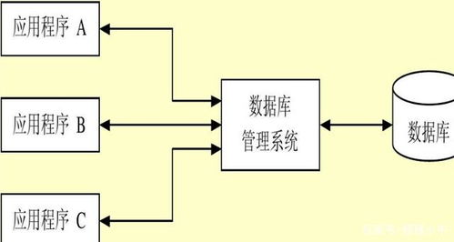 dbms和db是什么意思