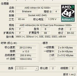 电脑的速读是由处理器决定还是显卡决定