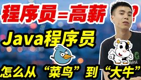 菜鸟程序员需要学习哪些基础知识