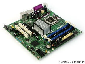 amd的cpu和显卡哪个