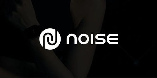 noise是什么牌子