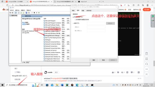 不会使用MSigDB数据库下载数据快来看这里