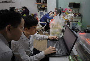 程序员工作做什么项目