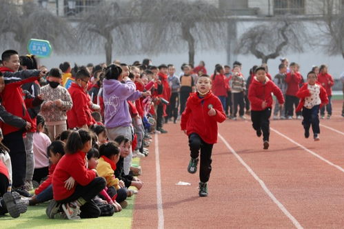 小学生有哪些比赛