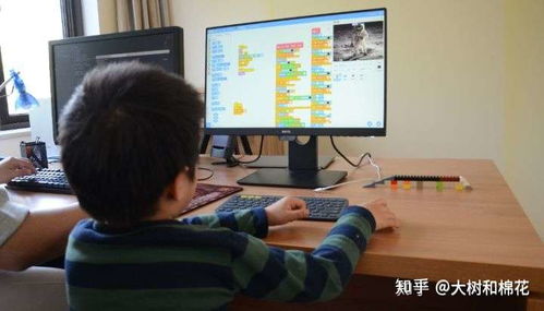 孩子有必要学编程吗