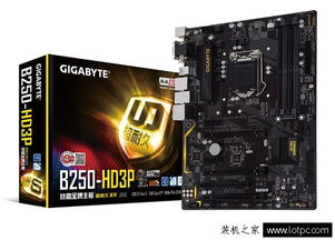 b250主板能上什么内存