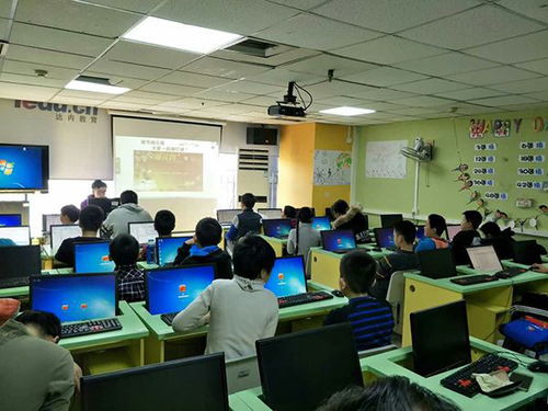 青少年编程课是教什么