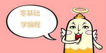 零基础学习编程,培训机构靠谱吗