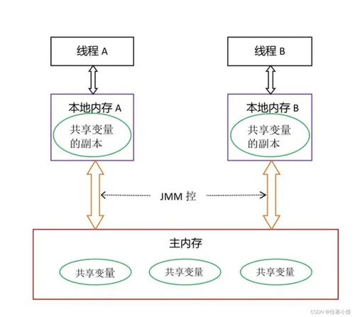 lcode青少年编程变量怎么使用