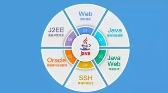 Java学完可以做什么工作