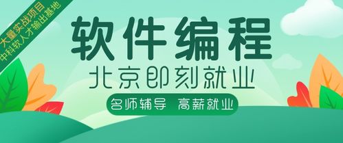 学习什么编程语言好就业