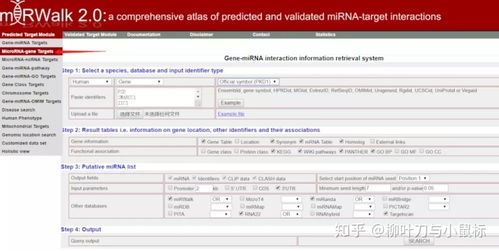 如何预测miRNA靶基因(miRWalk2.0数据库)
