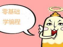 零基础学习编程,培训机构靠谱吗