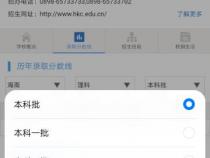 nesc是什么意思啊
