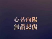 程序员自我鼓励的励志名言句子