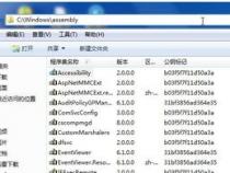 assembly是什么意思