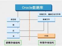 oracle 数据库 是什么结构