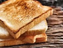 toast是什么意思