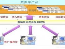 什么是数据库数据库中的数据有什么特点