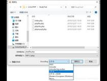 PHP中文编码~~