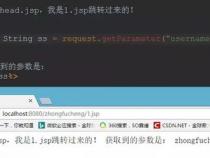 jsp是什么意思啊