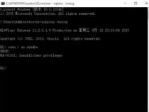 Oracle11g安装管理口令应该填什么
