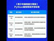 青少年编程能力等级