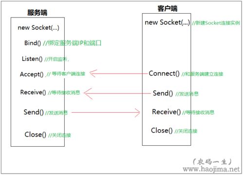 C++新手如何学习socket