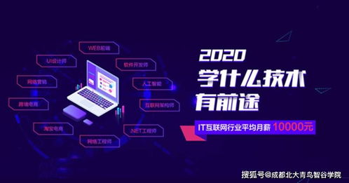 IT行业的就业前景怎么样