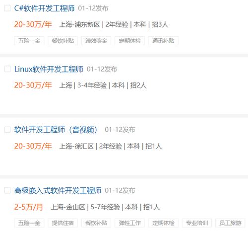 软件开发工程师属于哪个专业
