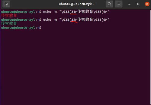 echo什么意思 解释echo在计算机编程中的含义
