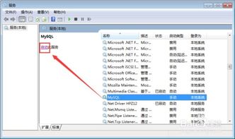 navicat怎么连接mysql数据库