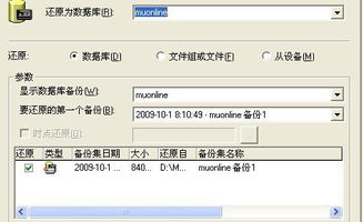 怎样用命令删除数据库