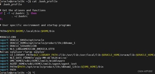 Oracle 19C更新时区补丁DSTV38